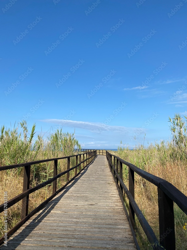 Strand, Meer, Holzweg, Natur