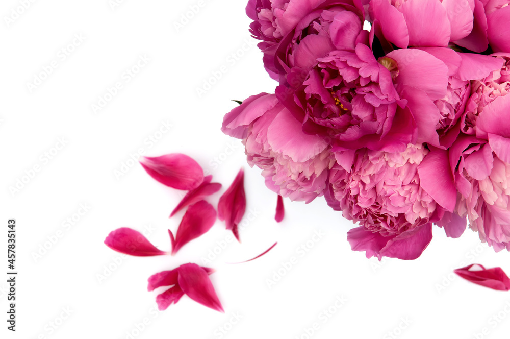 Bouquet of pink peonies isolated on the white background Bouquet of pink peonies isolated on the white background