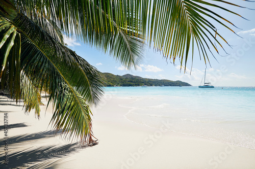 Fototapeta Naklejka Na Ścianę i Meble -  Palm leaves on beautiful white sand beach with turquoise sea. Anse Lazio in Seychelles..