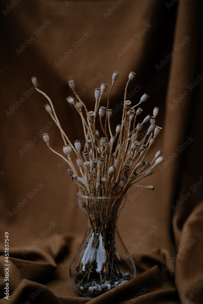 Ramas de amapolas en jarrón cristal