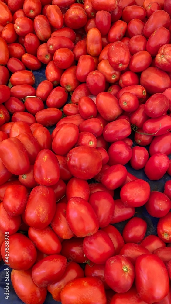 tomato red background tomato red background