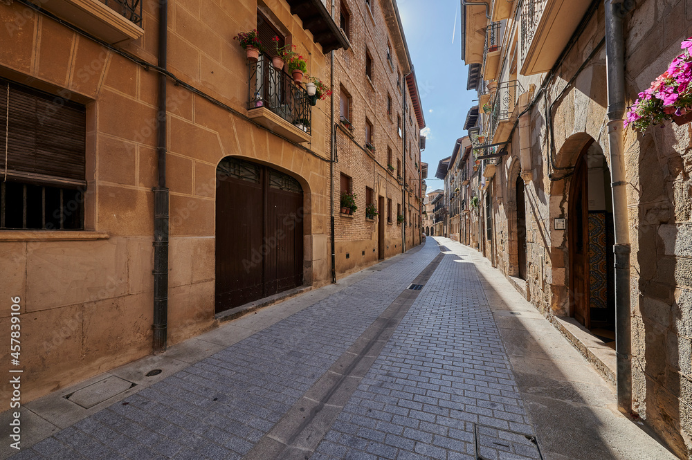 La Rúa street. Street through which pilgrims enter the city of Estella - Lizarra
