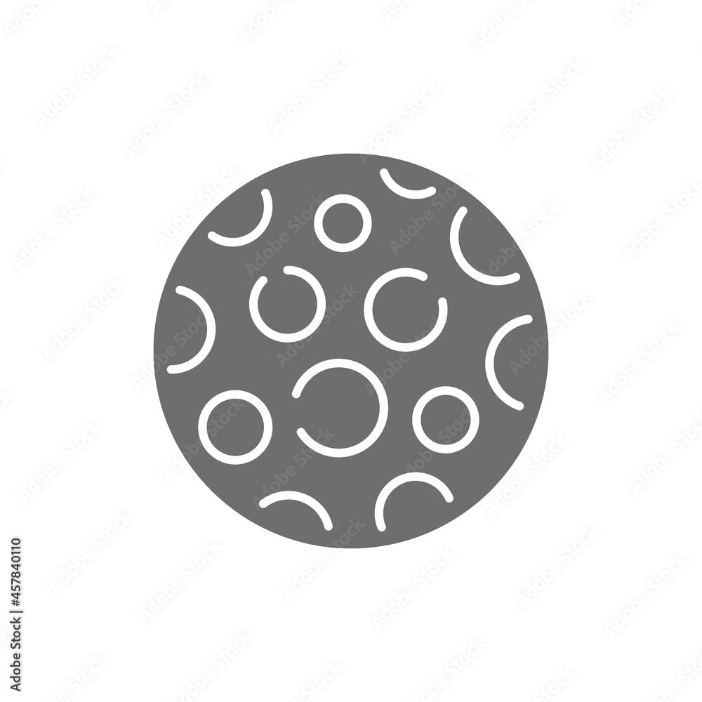 Moon grey icon. Isolated on white background Moon grey icon. Isolated on white background