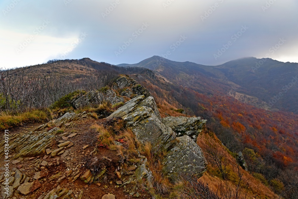 Bukowe Berdo, autumn weather in Bieszczady, Bieszczady mountains Bukowe Berdo, autumn weather in Bieszczady, Bieszczady mountains