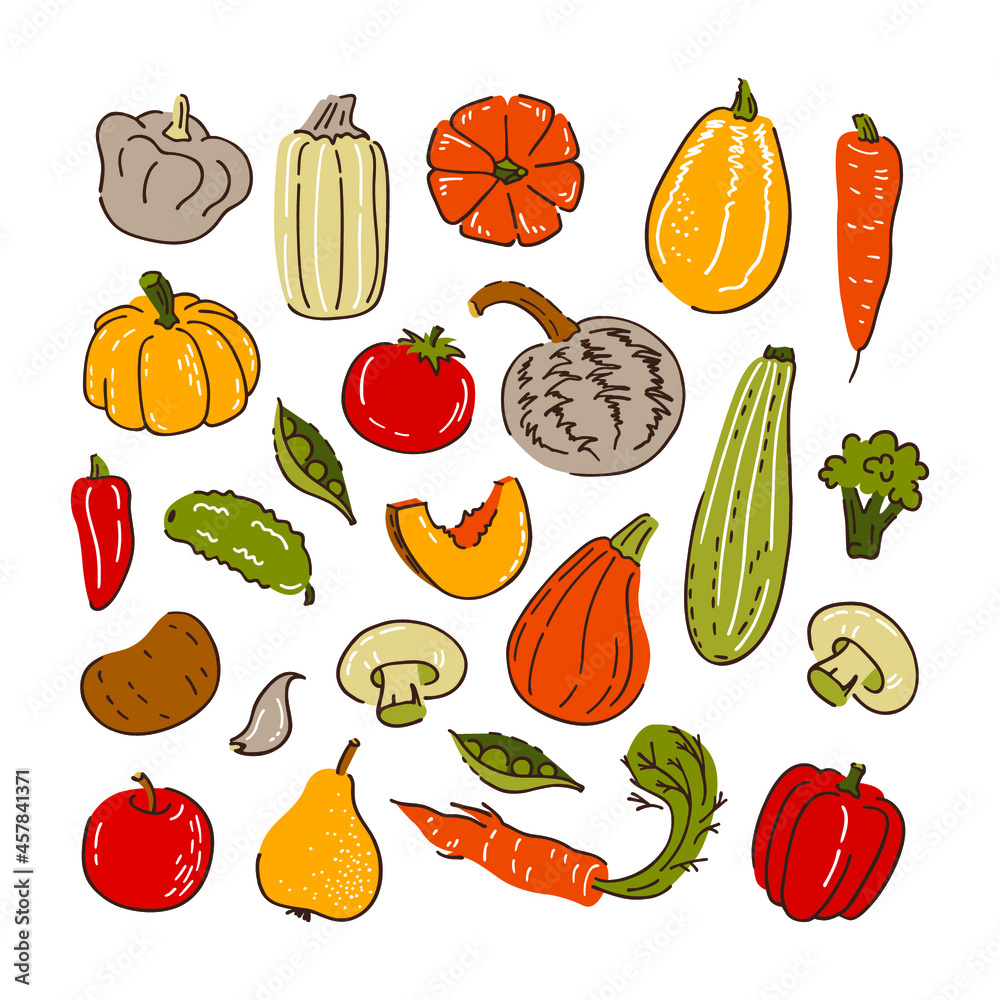Hand drawn vector collectiton of vegetables. Pumpkin, tomato, pepper, carrot, cucumber etc. Hand drawn vector collectiton of vegetables. Pumpkin, tomato, pepper, carrot, cucumber etc.