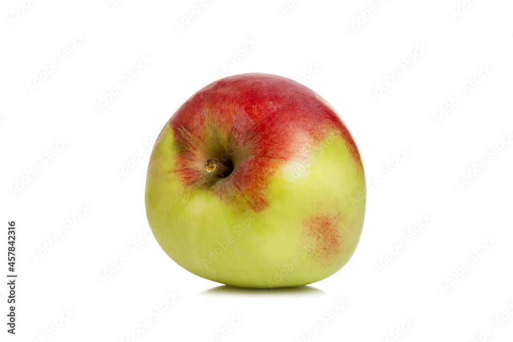 Ripe red-green apple. Harvest season. Vitamins and health from nature. Isolated on white background. Close-up. Ripe red-green apple. Harvest season. Vitamins and health from nature. Isolated on white background. Close-up.