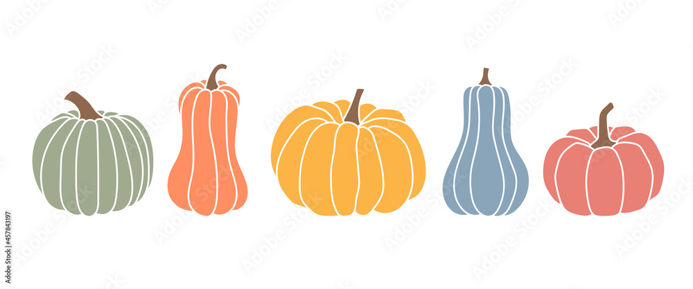 Set of pumpkins, autumn colors, different types of pumpkins - obrazy, fototapety, plakaty 