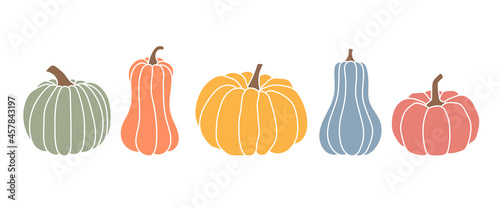 Set of pumpkins, autumn colors, different types of pumpkins photo