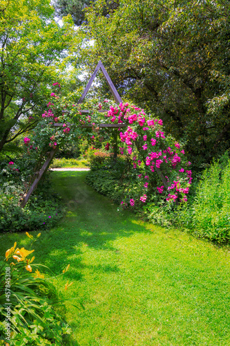 Fototapeta Naklejka Na Ścianę i Meble -  Idyllic rose garden