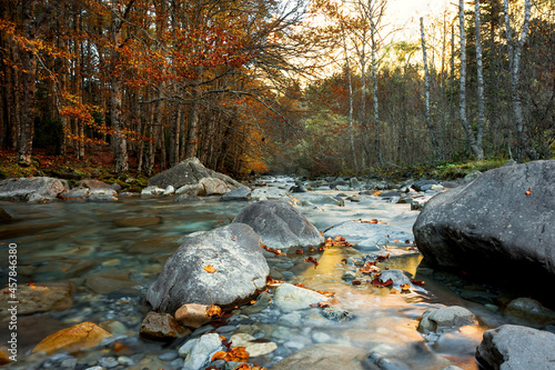 mountain in the autumn