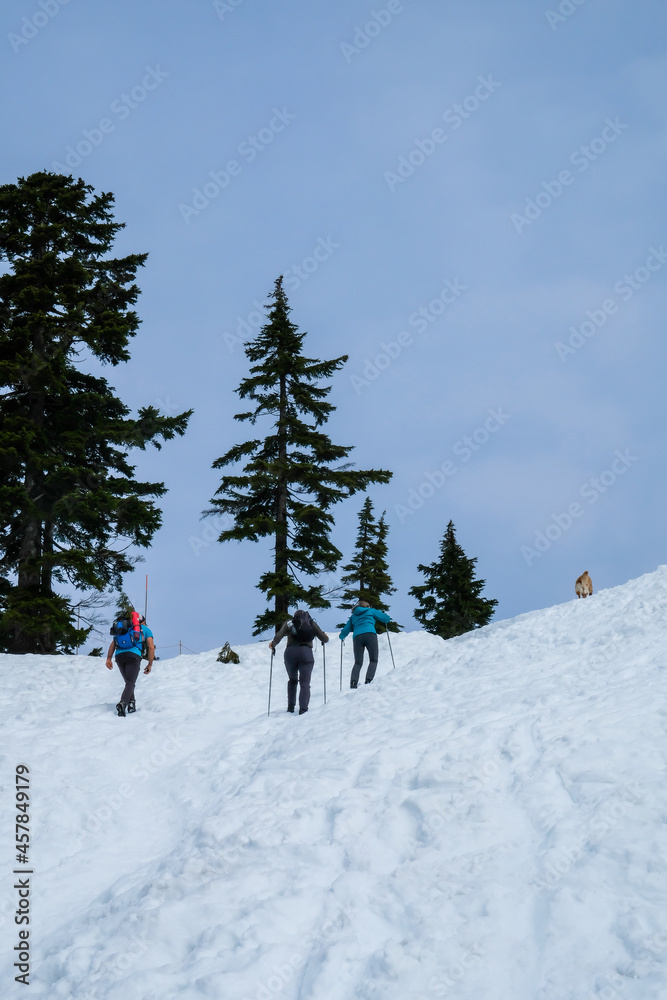 家族との登山