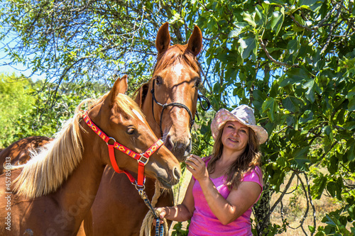 frau, pferd, natur, mensch und tier, mensch und pferd, frau und pferd, blaue himmel, frau mit weißem pferd, frau mit braunem pferd, frau mit pferden,  photo