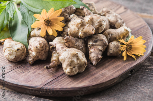 Jerusalem artichoke tubers. Freshly harvested roots of Helianthus tuberosus, also known as sunroot, sunchoke, earth apple, topinambur or lambchoke. Used as a root vegetable.