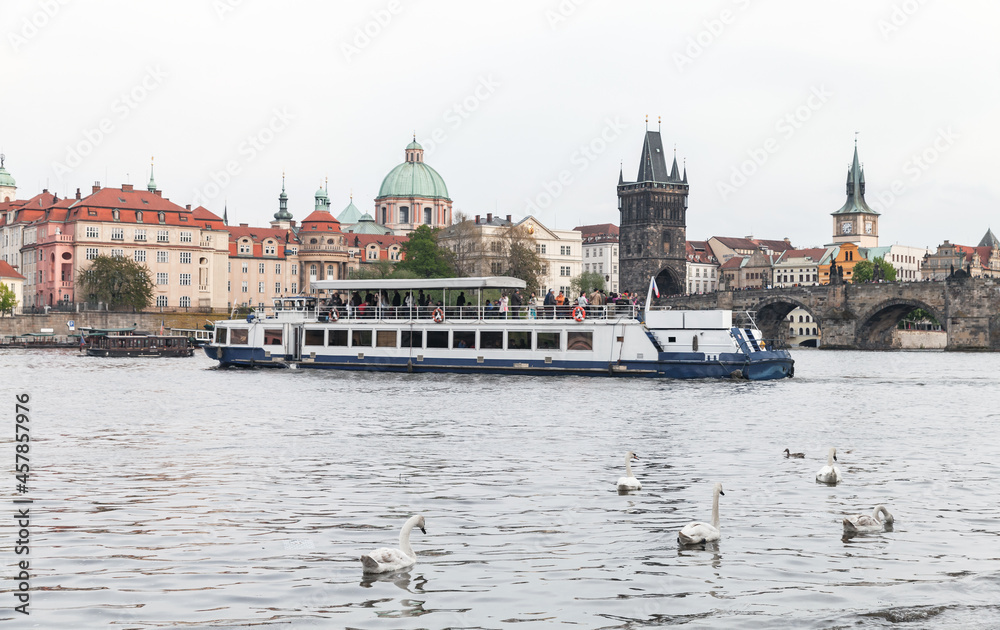 Swans and tourist boat are on Vltava river. Prague