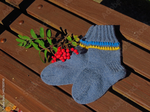 pair of gloves