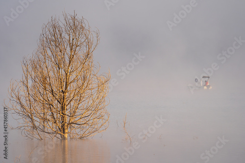 A dead tree deep in water near a fisherman on a small boat in the middle of a foggy, misty lake photo