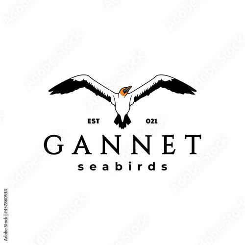 Gannets seabirds logo design vector , in white background.