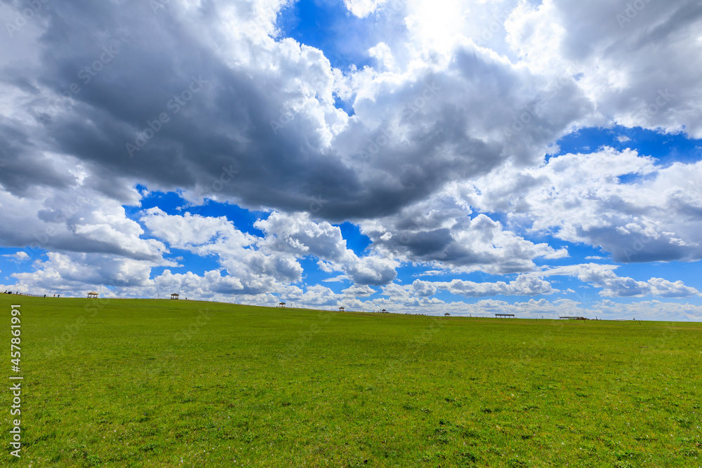 Green grassland natural scenery in Xinjiang,China.Wide grassland and blue sky with white clouds landscape. Green grassland natural scenery in Xinjiang,China.Wide grassland and blue sky with white clouds landscape.
