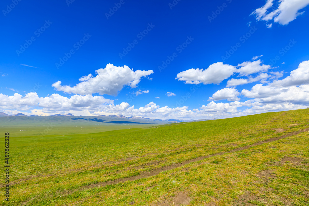 Obraz premium Green grassland natural scenery in Xinjiang,China.Wide grassland and blue sky with white clouds landscape.