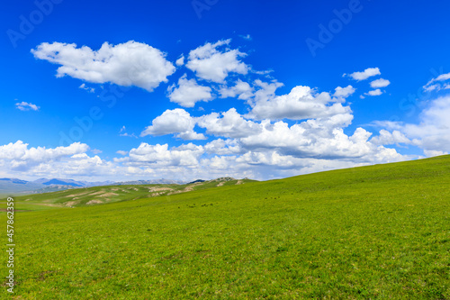 Green grassland natural scenery in Xinjiang,China.Wide grassland and blue sky with white clouds landscape.