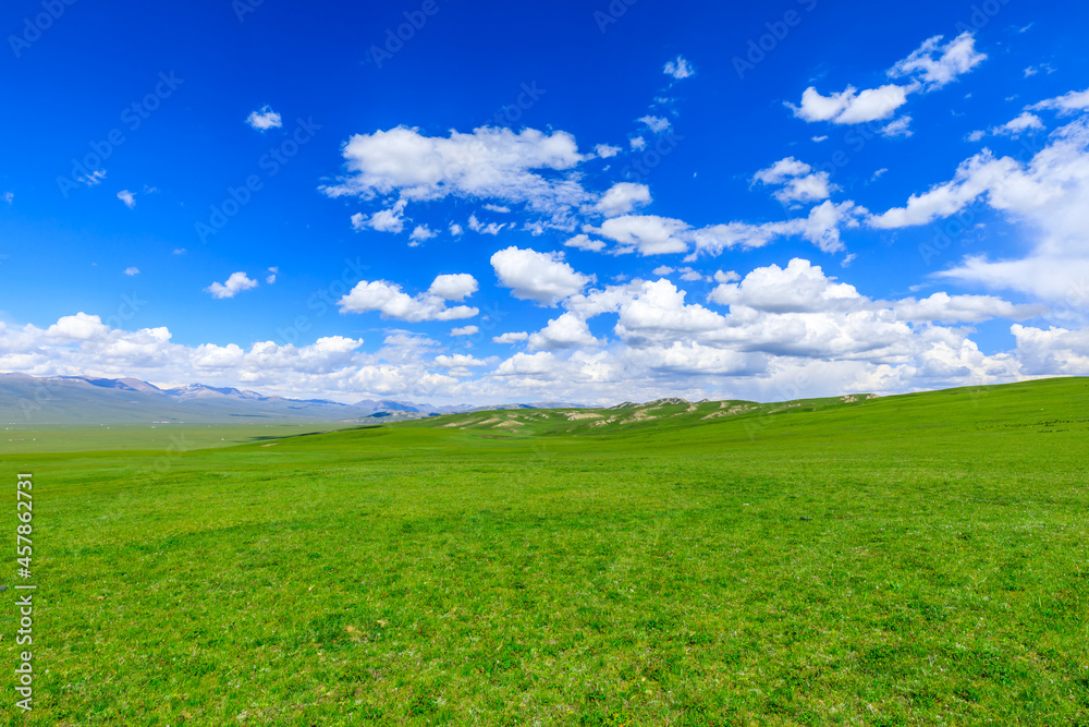 Green grassland natural scenery in Xinjiang,China.Wide grassland and blue sky with white clouds landscape. Green grassland natural scenery in Xinjiang,China.Wide grassland and blue sky with white clouds landscape.