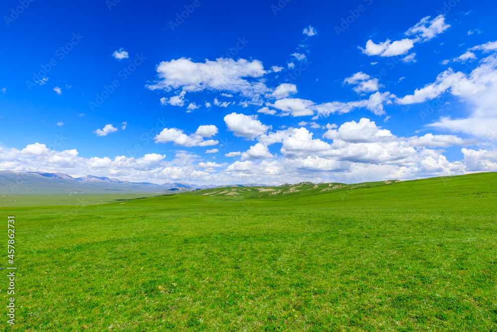 Green grassland natural scenery in Xinjiang,China.Wide grassland and blue sky with white clouds landscape.