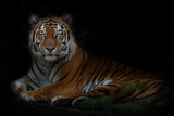 Big strong tiger, Amur tiger isolated black background with green leaves, symbol of strength and beauty in the year  tiger
