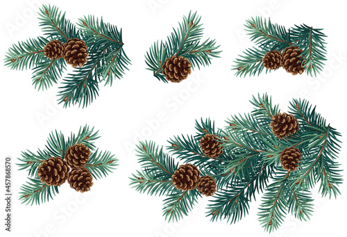 Realistic vector Christmas isolated tree branches with pine cones. 