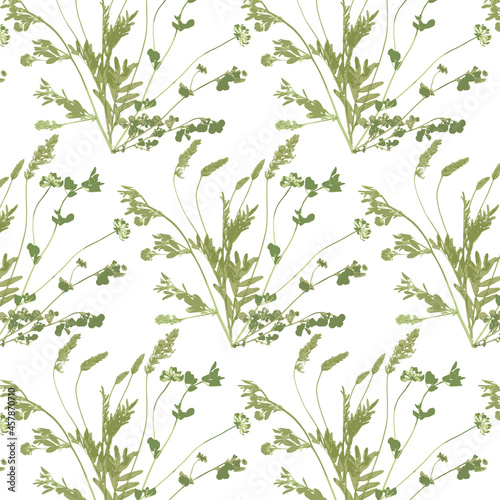 Vector pattern from botanical set of realistic bicolor herbs. The herbarium is collected from meadow grasses. Natural colors and isolated outlines.