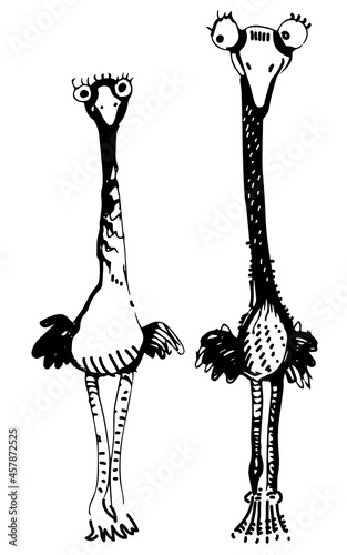 Illustration of funny couple of birds