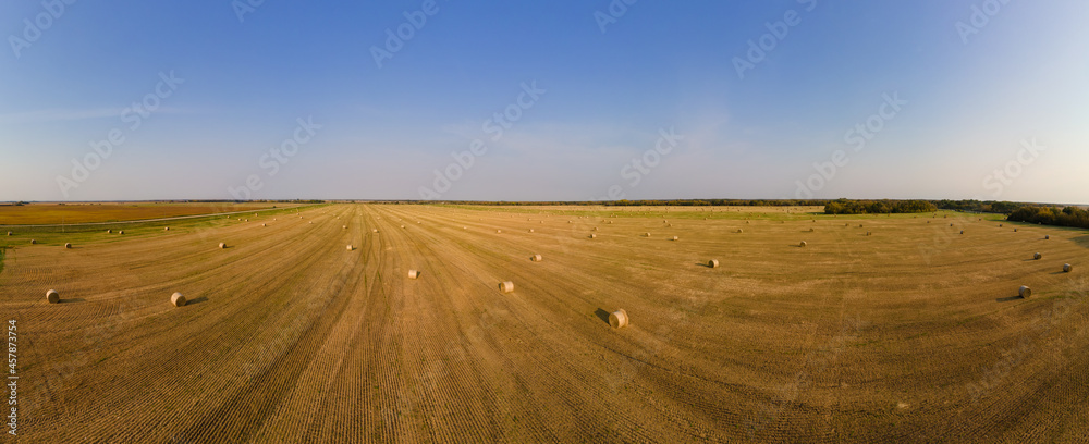 Fototapeta premium Aerial view of a large farm field with round bales of straw. Trees and a road surround the field. 