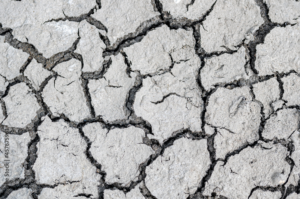Fototapeta premium Dry cracked ground