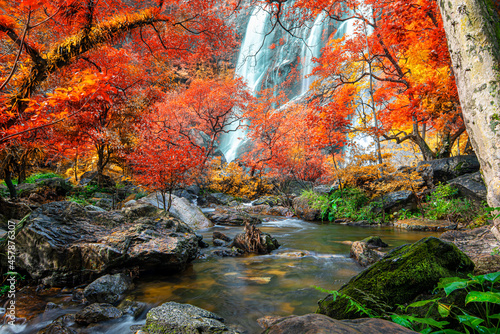 Amazing in nature, beautiful waterfall at colorful autumn forest in fall season. 	
