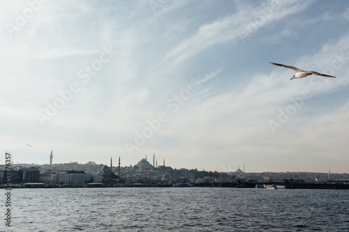 Photo with a cityscape, where a seagull flies towards Istanbul