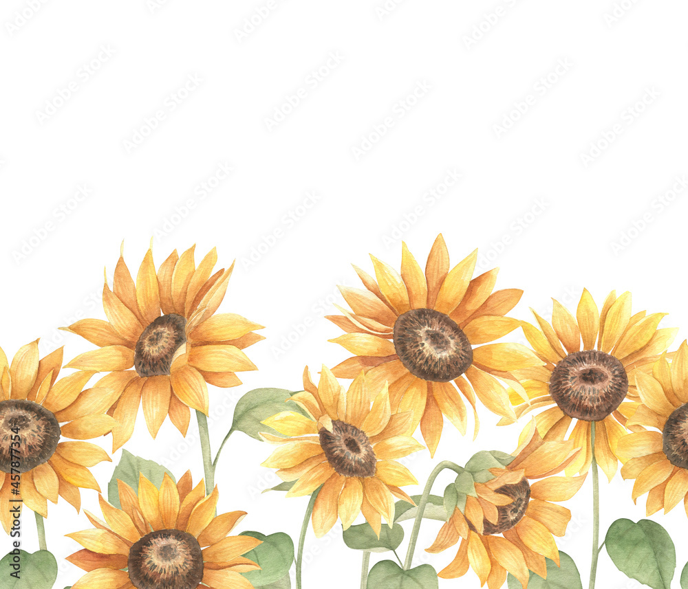 Obraz premium Watercolor seamless pattern. Floral sunflower border.