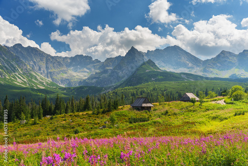 Beautiful views of the Polish High Tatras with mountain lakes and picturesque houses in the summer season © reme80