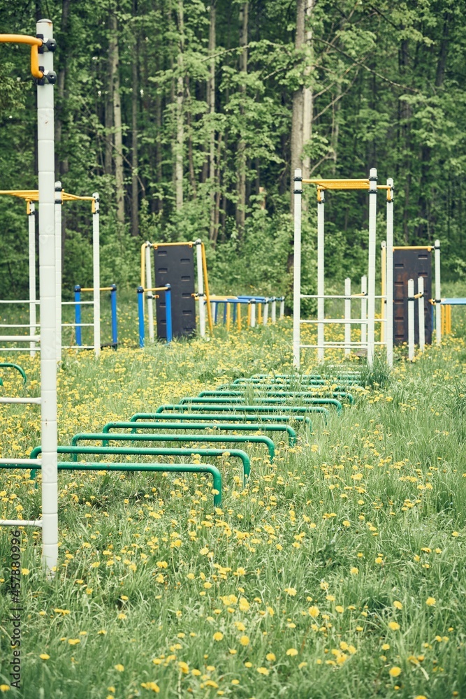Fototapeta premium Empty sports ground with different trainers in green field with small yellow flowers near forest in spring park on cloudy day