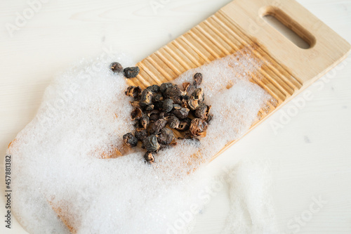 Fotografija Eco-friendly natural laundry detergent - soap nuts, washbowl