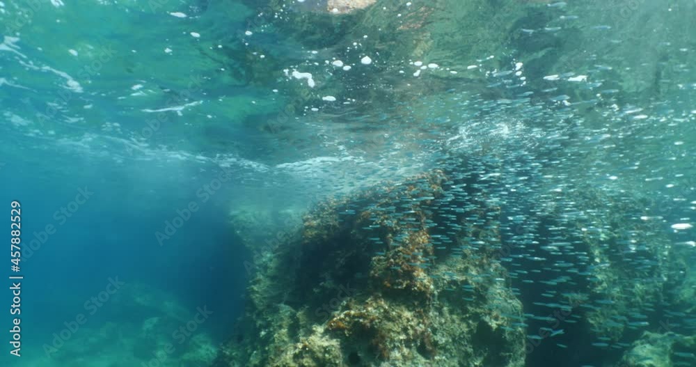 relaxing underwater fish scenery from mediterranean with sun beams and rays slow blue water shiny fish ocean scenery relaxing underwater fish scenery from mediterranean with sun beams and rays slow blue water shiny fish ocean scenery
