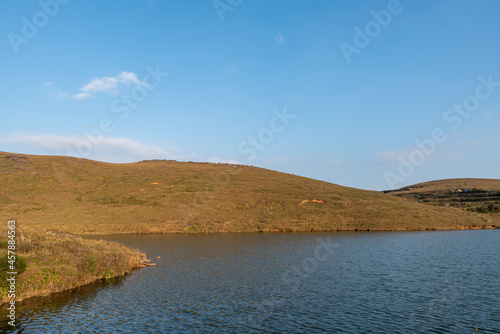 The meadow by the lake is blue and the water is blue and the grass is yellow