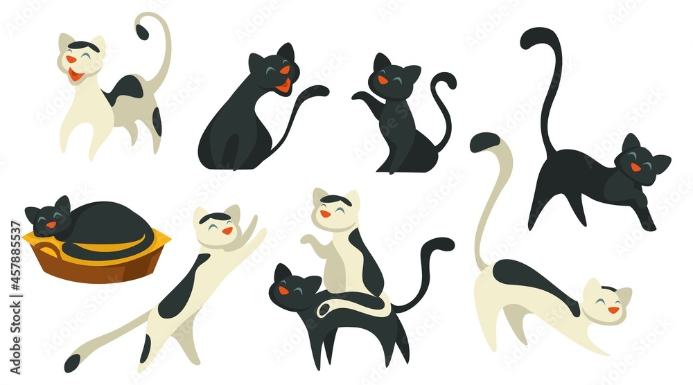 Cat pet sleeping and walking, feline animal vector