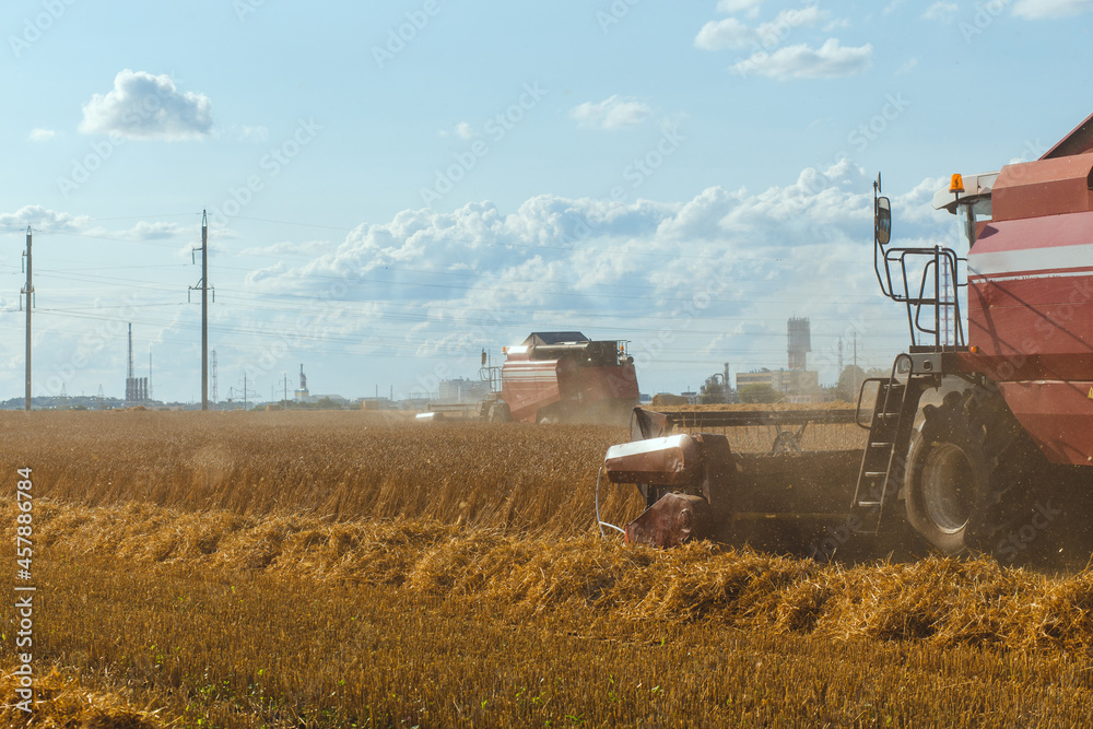 Fototapeta premium Combine harvester harvesting ripe wheat