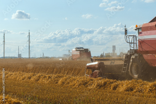 Combine harvester harvesting ripe wheat