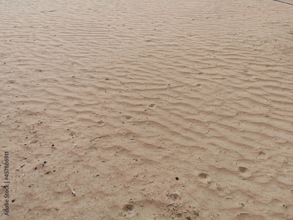 Tracks in the desert in Abu Dhabi, UAE. Tracks in the desert in Abu Dhabi, UAE.