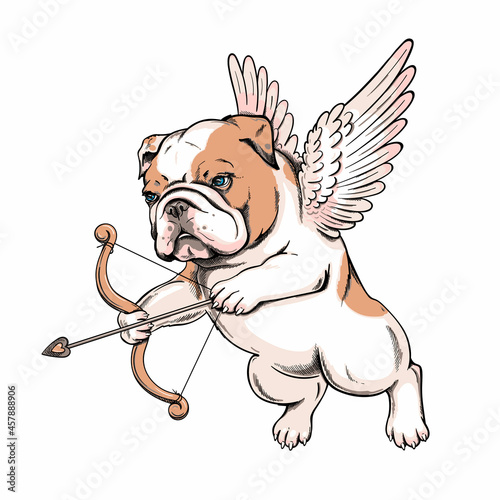 Cute english bulldog puppy with angel wings. Vector illustration in hand-drawn style. Cupid illustration. Image for printing on any surface	