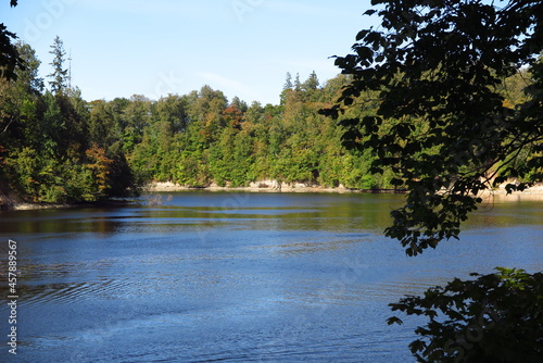 lake and forest