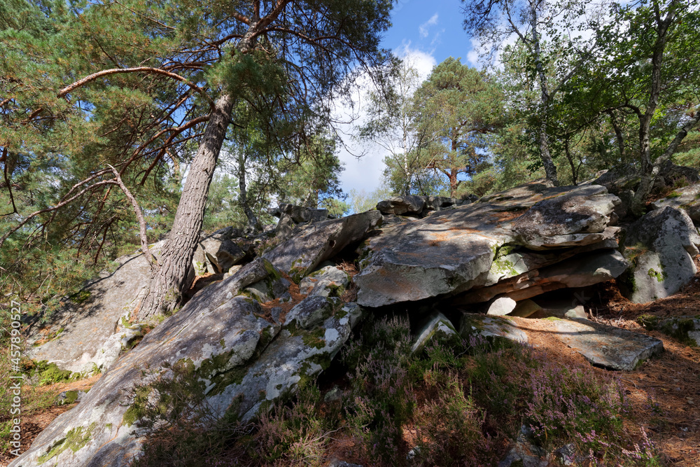 Hill of the Angennes rocks in Rambouillet forest Hill of the Angennes rocks in Rambouillet forest