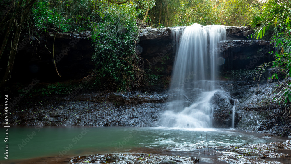 Obraz premium waterfall in the forest