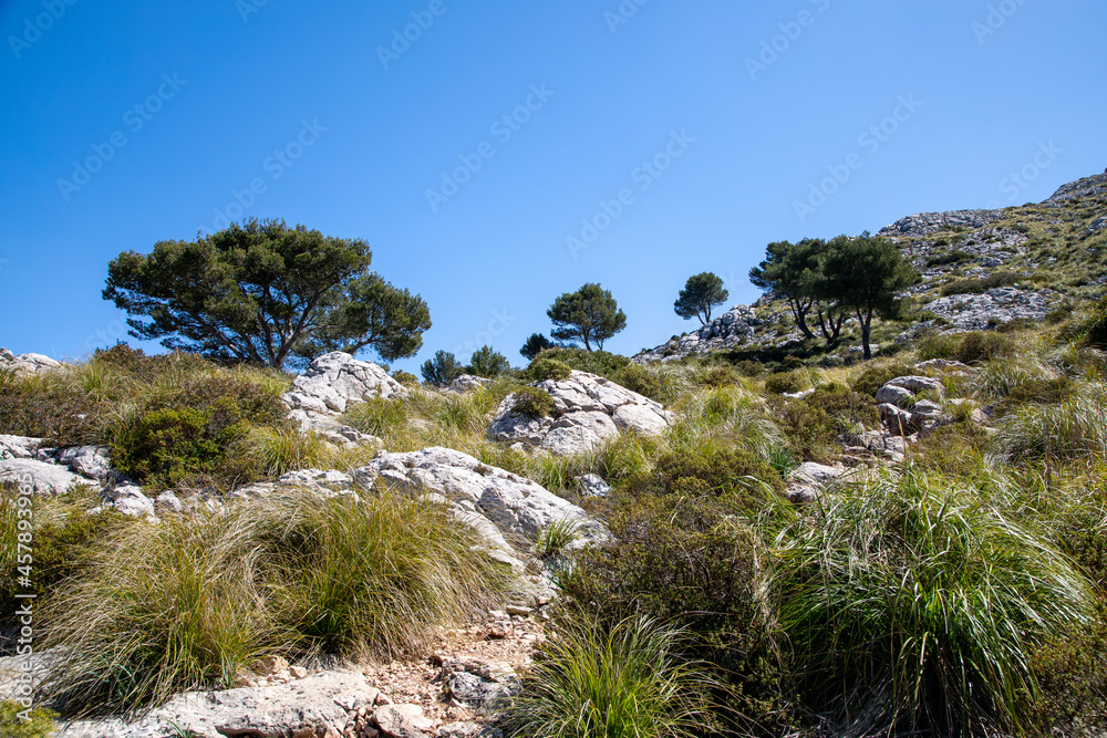 hiking around the puig de galatzo, Mallorca hiking around the puig de galatzo, Mallorca