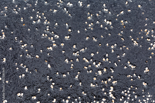 Asphalt pavement with gravel background